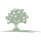 Oakwood Icon